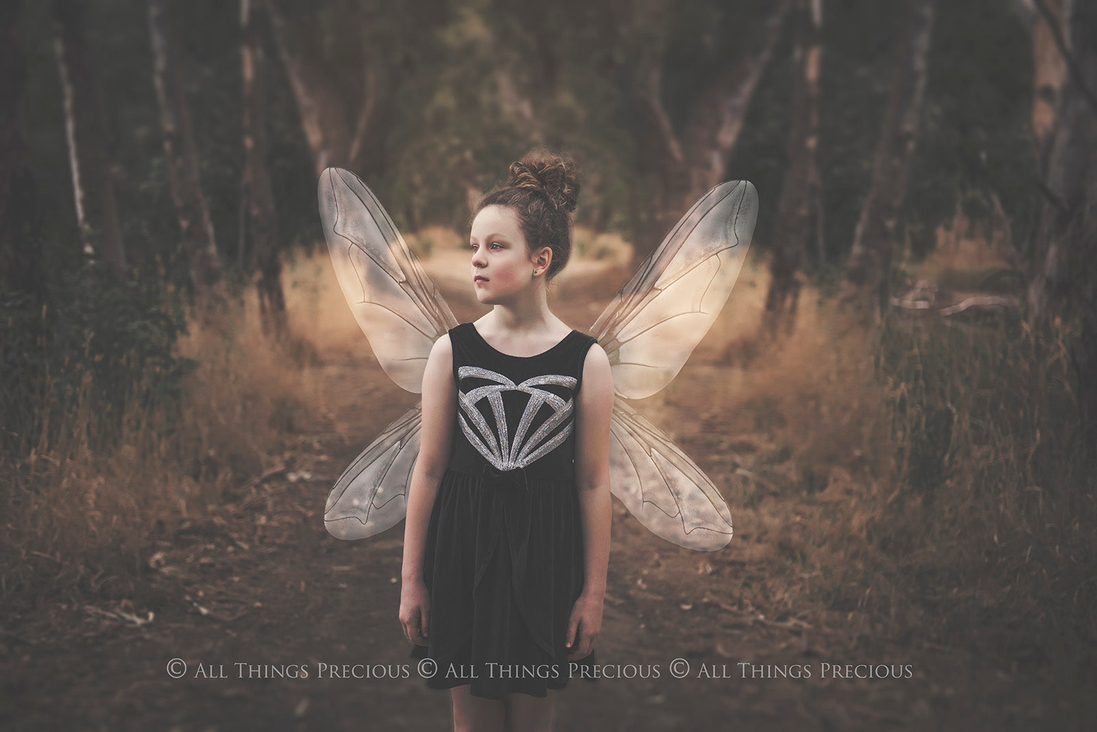 Digital Faery Wing Overlays. Png overlays for photoshop. Photography editing. High resolution, 300dpi fairy wings. Overlays for photography. Digital stock and resources. Graphic design. Fairy Photos. Colourful Fairy wings. Faerie Wings. ATP Textures. Overlays. Actions, Textures, Photo Resources, Photoshop.